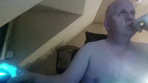 doggy2629 online show from December 2025 05:31:02 PM