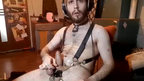 dogwithamohawk online show from February 2025 02:37:01 PM