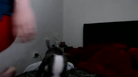 Catherine XXX online show from February 2025 09:03:01 AM