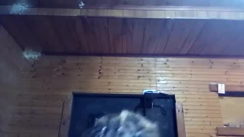 dollface_89 online show from September 2025 03:00:02 AM