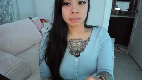 DOLLLFACE online show from April 2026 10:15:01 AM