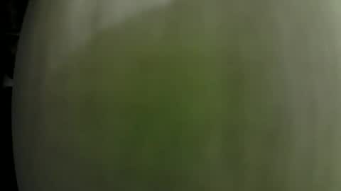 Snapshot of dom_doug chatting on January 2025 01:33:01 AM Dom Doug B. online show from January 2025 01:33:01 AM