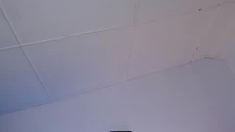 domenica online show from December 2024 11:25:01 PM