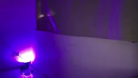 Brandon online show from February 2026 02:13:01 PM