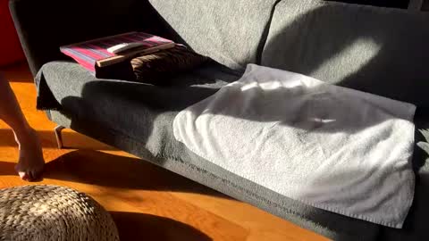 Alfredo online show from December 2025 11:59:01 AM