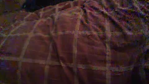 Hello  welcome to Slutsville  I am the Naked Chef  really  but you may call me Peter online show from October 2025 10:54:02 AM