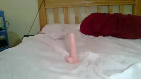 dottletop online show from February 2025 08:21:02 AM