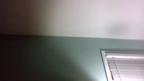 dowbo online show from January 2025 05:10:02 AM