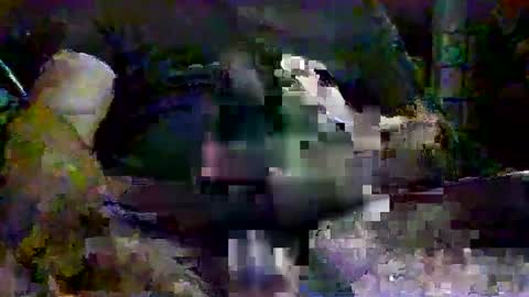 Snapshot of drako1976111 chatting on September 2025 11:26:01 PM drako1976111 online show from September 2025 11:26:01 PM