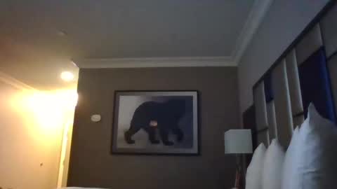 DreadedChefLoXXX online show from March 2025 06:59:01 AM