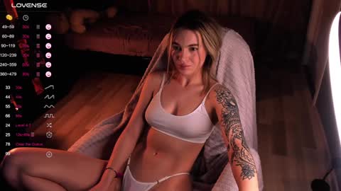  Mary   pvt open    use pink and blue app lovense online show from December 2024 10:51:02 AM