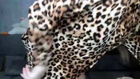 dreamesoul online show from November 2025 11:32:02 AM