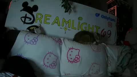 Snapshot of dreamlight69 chatting on January 2025 07:53:01 AM Dreamlight online show from January 2025 07:53:01 AM