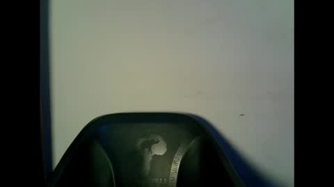 drippingpussy__ online show from October 2025 11:21:02 AM