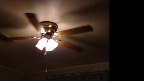 Snapshot of drippingwetfilipinapussy chatting on November 2025 11:58:01 PM WetFilipinaPussy online show from November 2025 11:58:01 PM