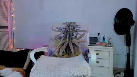 drippyorlove online show from April 2026 09:39:33 PM