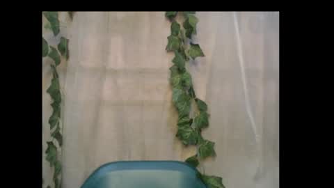 linda online show from October 2025 01:12:01 PM