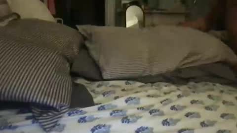 dtficecream online show from December 2025 11:22:02 PM