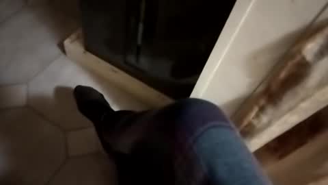 dthedog12 online show from October 2025 01:03:01 AM