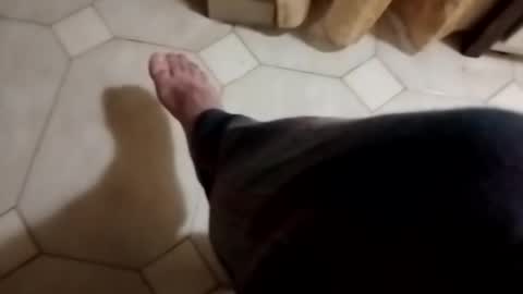 dthedog12 online show from November 2025 11:48:01 PM