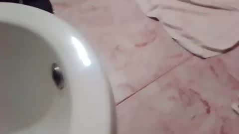 dthedog12 online show from November 2025 11:58:01 PM