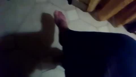 dthedog12 online show from November 2025 06:41:02 PM