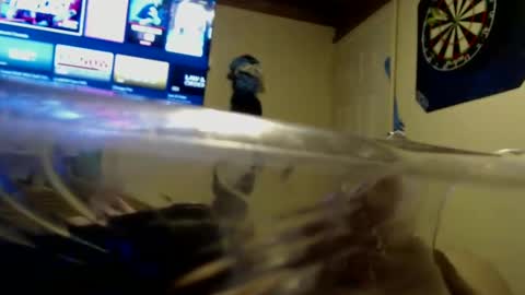 Snapshot of dtrain6969420 chatting on September 2025 02:04:02 AM dtrain6969420 online show from September 2025 02:04:02 AM