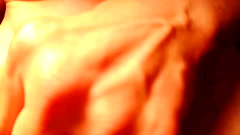 nomadjon online show from February 2025 06:43:02 AM