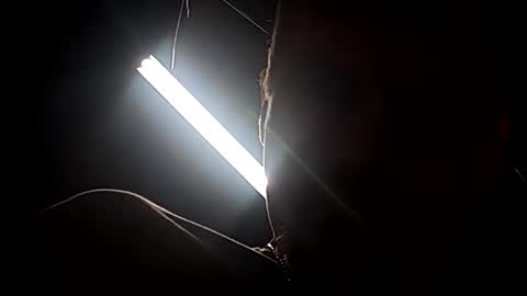 dukester36 online show from April 2026 11:01:02 AM