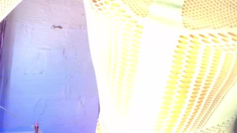 dulce_smith02 online show from March 2026 12:47:01 AM