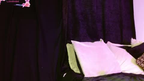   online show from January 2026 01:42:02 AM