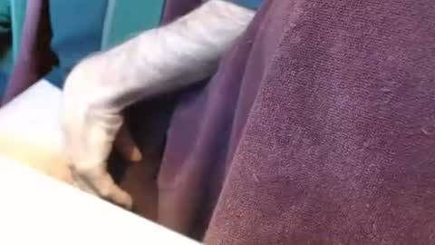 dunany101 online show from December 2024 07:29:01 PM