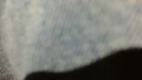 dunany101 online show from January 2025 09:18:01 PM