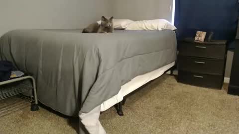 dwhitey4u online show from December 2024 08:02:01 PM