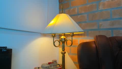 D Y L A N online show from February 2025 01:32:01 AM