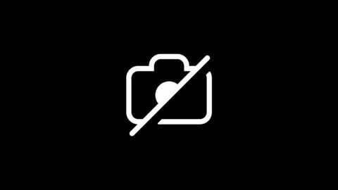 dylp400 online show from October 2025 12:49:02 PM