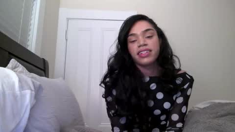 Dynasty online show from December 2024 11:20:02 PM