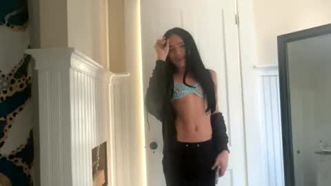 Dynasty online show from November 2025 03:51:01 PM