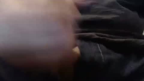 eat_a_peach2 online show from September 2025 10:39:02 AM