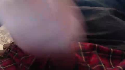 eat_a_peach2 online show from March 2026 11:38:02 AM