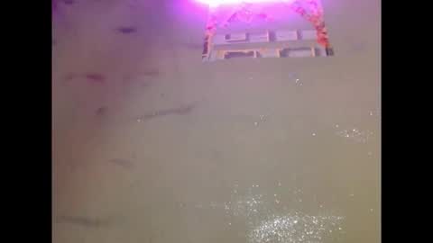 eatuupx online show from December 2025 03:41:02 PM