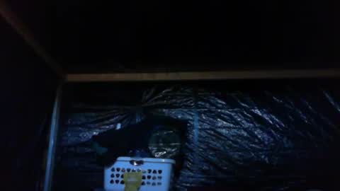 Snapshot of ebear1 chatting on February 2025 09:36:01 PM ebear1 online show from February 2025 09:36:01 PM