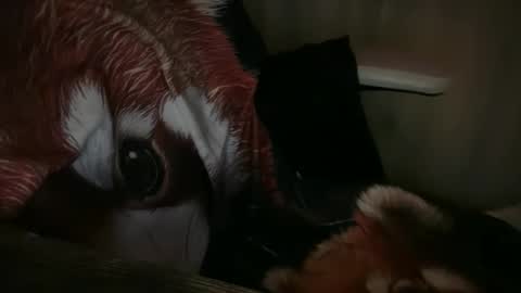 americnbarbie online show from November 2025 01:04:01 AM