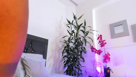 Snapshot of ebonyhot_01 chatting on December 2024 03:13:02 PM Genesis online show from December 2024 03:13:02 PM