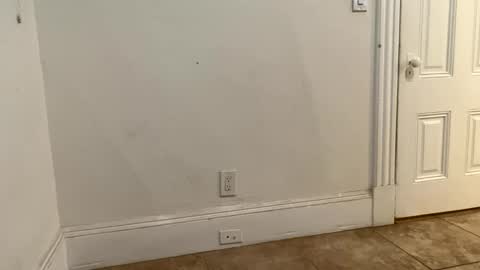 edvmendez1766 online show from November 2025 03:23:02 AM