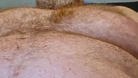 Eddya online show from October 2025 12:44:02 PM