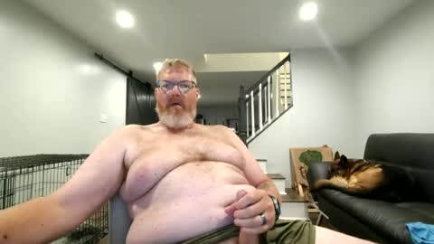 Eddya online show from July 2026 11:38:01 AM