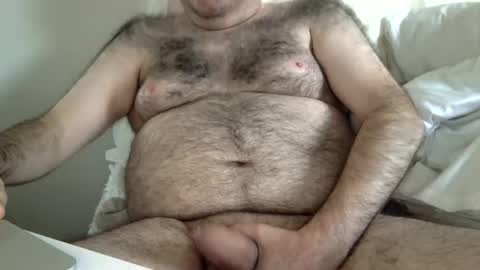 elabear online show from April 2026 02:38:01 PM