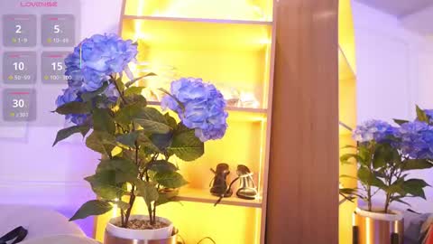 Elasummeer online show from November 2025 11:54:02 AM