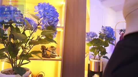 Elasummeer online show from November 2025 11:54:02 AM